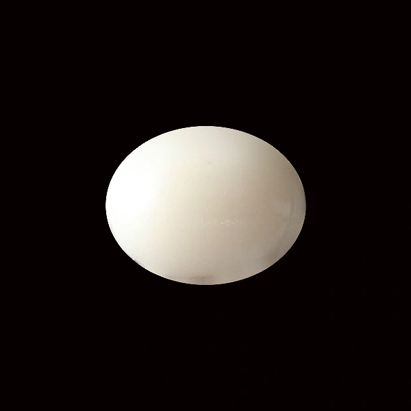 White Coral - 5.54 carats